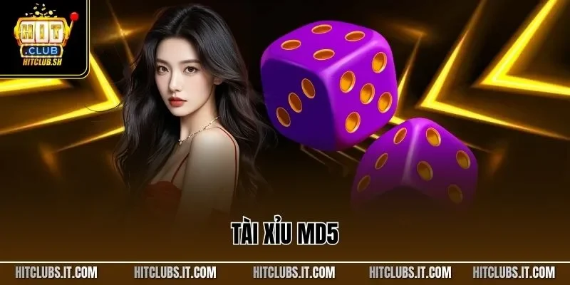 Tài Xỉu MD5 – Hình Thức Cá Cược Minh Bạch Được Ưa Chuộng